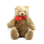 A Steiff teddy bear,