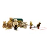 A collection of seven Steiff teddy bears,