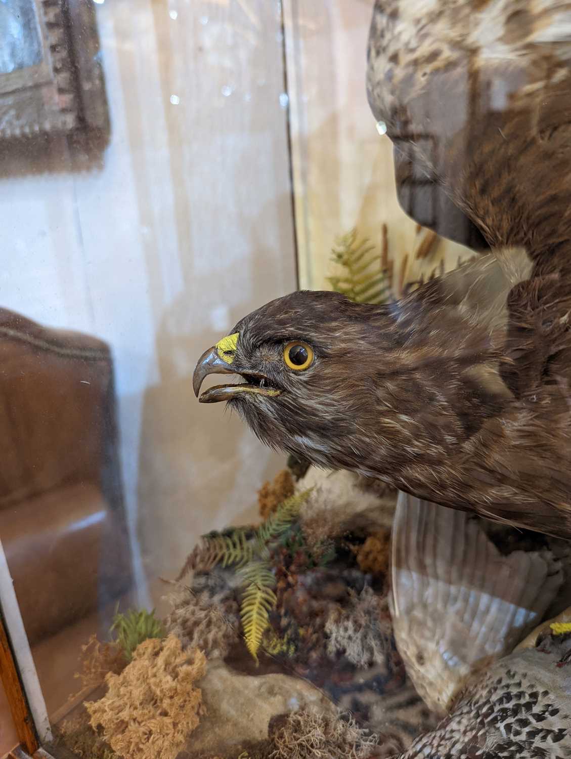 A Victorian taxidermy diorama by Ashmead and Co., - Image 10 of 11