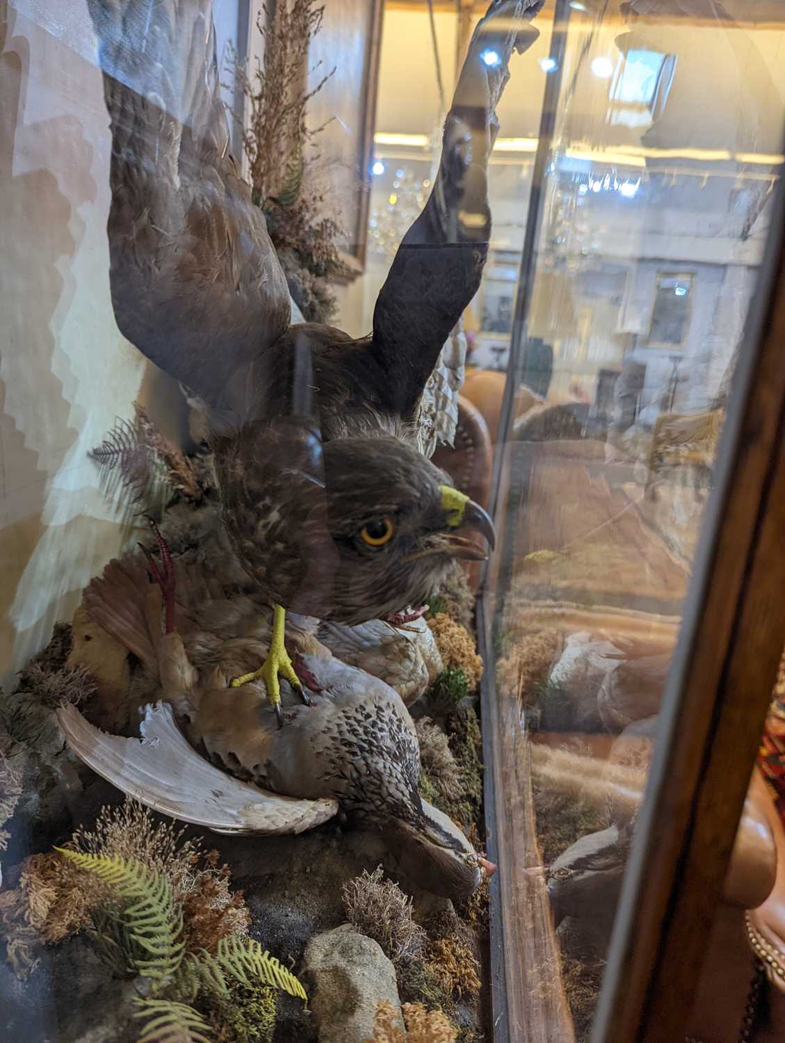 A Victorian taxidermy diorama by Ashmead and Co., - Image 7 of 11