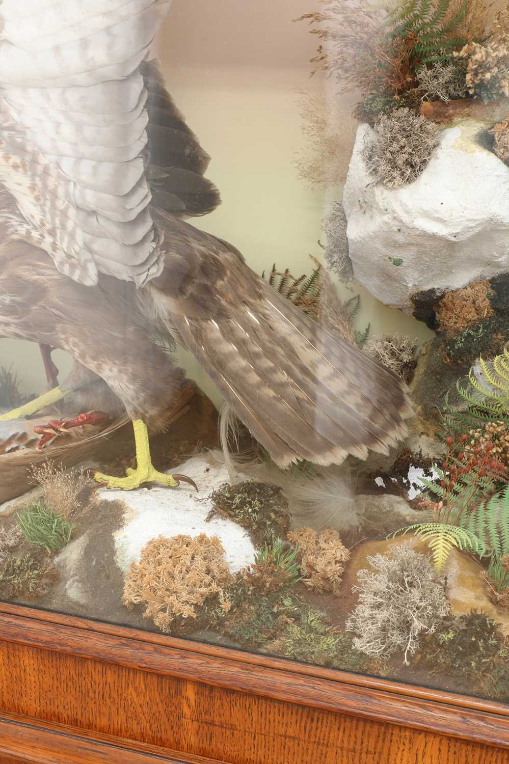 A Victorian taxidermy diorama by Ashmead and Co., - Image 3 of 11