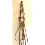A full-size leather double bridle