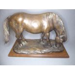 A bronze of a grazing horse, signed C Mortimer and 1/10 and Marlboro 1977 signed beneath base (