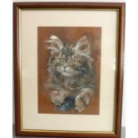 A parcel gilt-framed and glazed pastel/body colour study of a young kitten playing with a blue