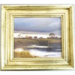 Alan THOMPSON (20th century); oil on artist's board study, 'Storm Clouds over the River Eden, near