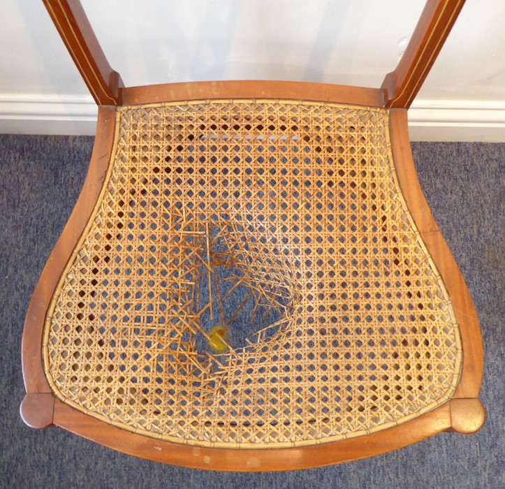 A single Edwardian period satinwood revival bedroom chair; the top rail decorated with roses above a - Image 4 of 7