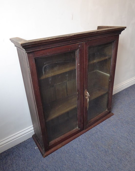 A late 19th / early 20th century stained-pine display cabinet having two glazed doors enclosing