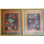 A large pair of decorative colour prints depicting cherries, gilt-framed and glazed (image sizes