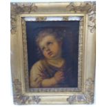 C19th Italian School after a C17th original, Head of a Putto holding a Crown of Thorns, Oil on
