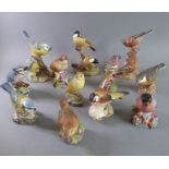 Twelve hand-decorated Royal Worcester birds to include Nightingale, Wren, Chaffinch, Blue Jay,