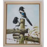 C Jefferies -  oil on canvas study of a pair of magpies perched on a wooden fence, signed lower