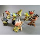 Eight hand-decorated Beswick birds: Bullfinch (x 2), Blue Tit (x 2), Goldfinch, Greenfinch,