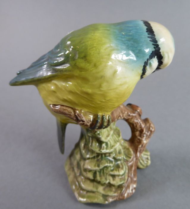 Eight hand-decorated Beswick birds: Bullfinch (x 2), Blue Tit (x 2), Goldfinch, Greenfinch, - Image 19 of 26