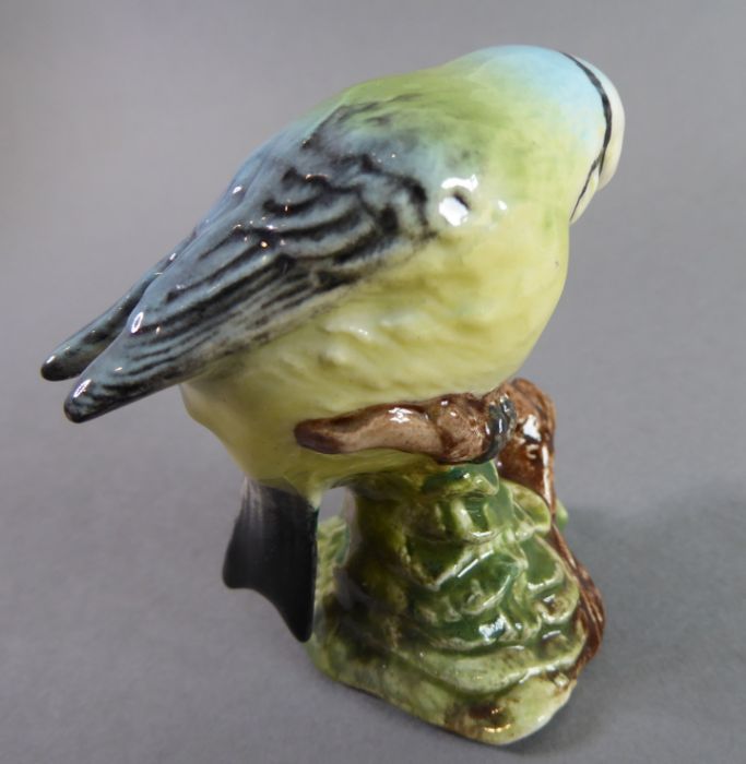 Eight hand-decorated Beswick birds: Bullfinch (x 2), Blue Tit (x 2), Goldfinch, Greenfinch, - Image 15 of 26