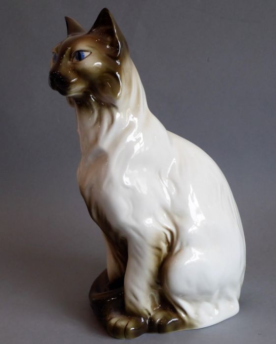 Sixteen ceramic cat models to include three blue-and-white Rye Pottery examples, one by Beswick and - Image 8 of 17