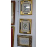 A pair of hand-coloured botanical engravings, gilt and faux marble frames. Together with an