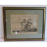 A parcel gilt framed and glazed (later) 18th century monochrome engraving 'View of Matavia Bay, in