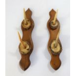 A pair of early 20th century oak and antler hat / coat hangers (36cm, 2 pegs) Provenance: Manfred