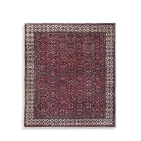 TAPIS AGRA fond rouge, décor d'un réseau de tiges feuillagées et fleurs, bordure crème de tiges