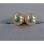 PAIR OF 18CT GOLD CULTURED PEARL EARSTUDS - PEARLS 7.