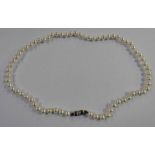 CULTURED PEARL NECKLACE OF APPROX. 67 PEARLS OF 6.