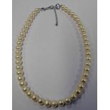 CULTURED PEARL NECKLACE OF 48 PEARLS ON SILVER CLASP LENGTH 42 CMS Condition Report: