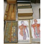 2 TRANS - VISIONS OF ANATOMICAL CHROMOGRAPHS AND A SELECTION OF GLASS SLIDES TO INCLUDE PLACENTA,