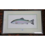 RODDERICK SUTTERBY A SALMON SIGNED FRAMED WATERCOLOUR 22 X 46 CMS