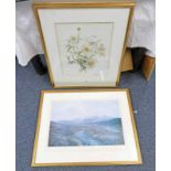 FRAMED SIGNED LIMITED EDITION MARY MCMURTIE PRINT - CALIFORNIAN TREE POPPY & SIGNED HOWARD