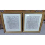 PAIR OF GILT FRAMED MAPS: RUSSIAN EMPIRE IN EUROPE DIVIDED INTO GOVERNMENTS BY J.