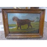 18TH CENTURY ENGLISH SCHOOL, STUDY OF A WATER SPANIEL, UNSIGNED, FRAMED OIL ON PANEL,