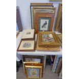 LARGE SELECTION OF VARIOUS PRINTS OF BIRDS, FRAMED MAPS,