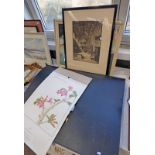 2 FRAMED WATERCOLOURS BY BARBARA EVERARD & LARGE DALER ART CASE WITH GOOD SELECTION OF PAPER,