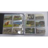 POSTCARD ALBUM OF VARIOUS ANIMALS AND BRITISH BIRDS TO INCLUDE HORSES, SHEEP, COWS, PIGS,