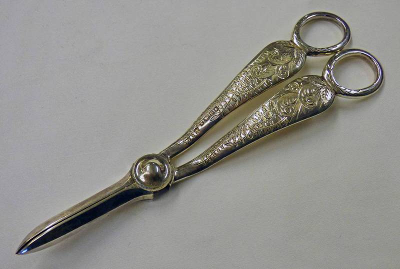 PAIR OF SILVER GRAPE SCISSORS SHEFFIELD 1881