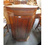 19TH CENTURY MAHOGANY CABINET WITH PANEL DOOR OPENING TO SHELVED INTERIOR,