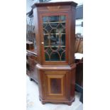 19TH CENTURY MAHOGANY CORNER CABINET WITH ASTRAL GLAZED DOOR OVER PANEL DOOR 206 CM TALL