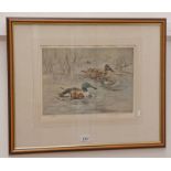 HENRY WILKINSON PAIR OF MALLARD DUCKS SIGNED IN PENCIL FRAMED COLOUR ETCHING 24 X 34 CM