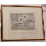 HENRY WILKINSON PAIR OF DUCKS SIGNED IN PENCIL FRAMED COLOUR ETCHING 24 X 34 CM