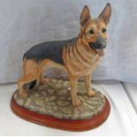 BORDER FINE ARTS GERMAN SHEPHERD SIGNED MARGARET TURNER LENGTH OF BASE 27 CM