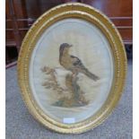 19TH CENTURY ENGLISH SCHOOL, BIRD PERCHED ON A STUMP, FRAMED SEWNWORK,