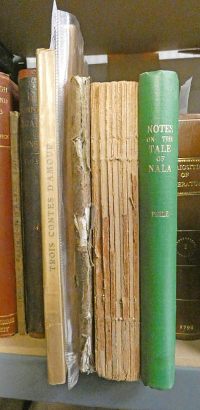 NOTES ON THE NALOPAKHYANAM OR TALE OF NALA BY JOHN PEILE, EX LIBRARY - 1881,