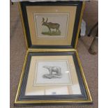 4 GILT FRAMED PRINTS OF ANIMALS, 22 X 28 CM - TO BE SOLD PLUS VAT ON THE HAMMER PRICE.