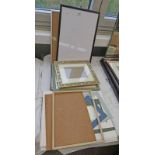 SELECTION OF PICTURE FRAMES AND MOUNTS