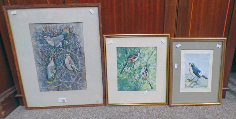 T S HALLIDAY BIRDS SIGNED 3 FRAMED WATERCOLOURS LARGEST 32 X 22 CM