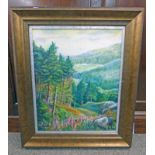 MARI MACDONALD GLEN PROSEN LOOKING SOUTH FRAMED OIL PAINTING SIGNED 50 X 40CM