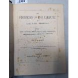 THE FISHERIES OF THE ADRIATIC AND THE FISH THEREOF BY GEORGE L.