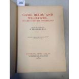 GAME BIRDS AND WILD-FOWL OF GREAT BRITAIN AND IRELAND BY A.