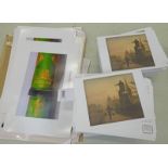 VARIOUS MURRAY MACKINNON NATURAL GALLERIES CARDS AND A SELECTION OF PHOTOGRAPH OF MICROSCOPES FROM