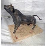 BRONZE FIGURE OF A BULL ON MARBLE PLINTH - 16 CM TALL